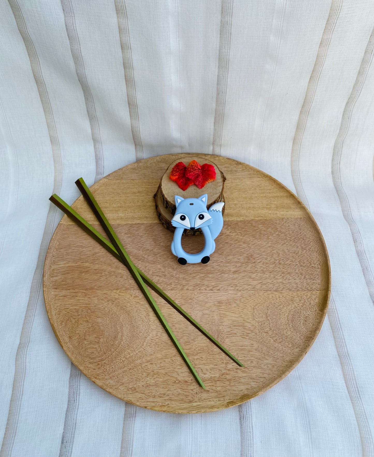 Renard de dentition bleu
